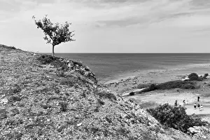 Rocky Shoreline In Europe Drucke: Reef limestone cliffs, coastline