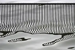 Lake Reflections Germany Drucke: Reflection of a bridge railing in a lake, Germany