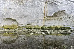 Steep Rocky Coast Europe Drucke: Reflection of chalk cliffs at low tide on the beach