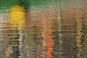 Lower Saxony Photography Drucke: Reflection, colourful reflections on the water surface