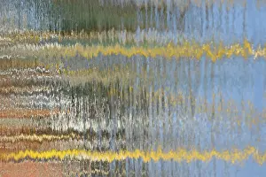Northern Germany Images Drucke: Reflection, colourful reflections on the water surface