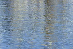Lower Saxony Photography Drucke: Reflection, colourful reflections on the water surface