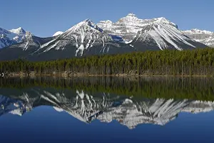 Banff National Park Landscape Drucke: Reflection of Mt. Niblock in Lake Herbert