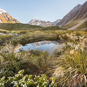 Aoraki Mount Cook National Park Drucke: Reflection in small lake, Mount Cook