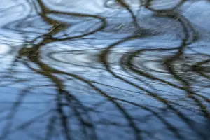 European Urban Landscapes Drucke: Reflection in a stream, Ostersund