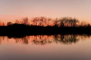 Tree Reflection Water Drucke: Reflection of trees in a pond, against an evening sky