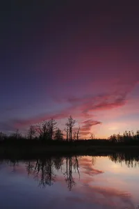 Central Europe River Course View Drucke: Reflection of trees in the water