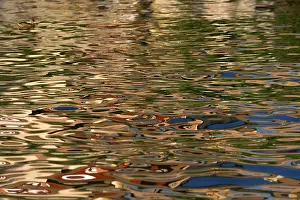 Reflection In Water Drucke: Reflection in the water surface