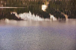 Water Surface Reflection Drucke: Reflection on a water surface, water reflection