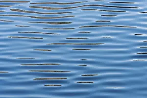 Serene Water Reflections Drucke: Reflections on a calm sea surface