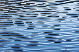 Reflections On Water Drucke: Reflections on a calm sea surface