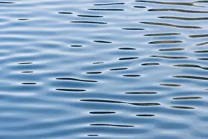 Reflections On Water Surface Drucke: Reflections on a calm sea surface