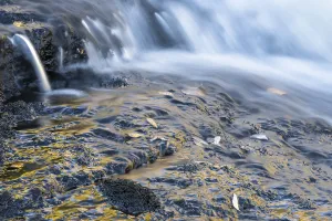 Lapland Sweden Landscape Drucke: Reflections on a rock at a rushing stream