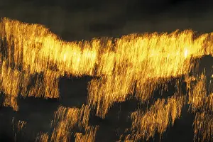 Abstract Nature Photography Drucke: Reflections of the setting sun on the water surface
