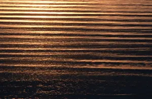 Water Surface Reflections Drucke: Reflections on water