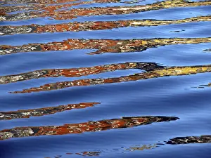 Buntes Abstraktes Kunstwerk Drucke: Spiegelungen, Wasser, Spiegelung.