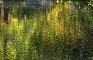 Munsterland Germany Landscape Drucke: Reflections, water reflections on a castle moat