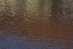 No People Waterfront Germany Drucke: Reflections on a water surface