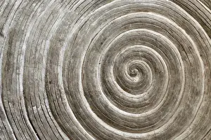 Embellished Interior Design Drucke: Relief pattern on a stone in the form of a spiral