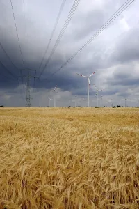 Electric Power Wire Drucke: Renewable energy, wind
