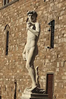 Palazzo Vecchio Florence Italy Drucke: A replica of David, Michelangelo