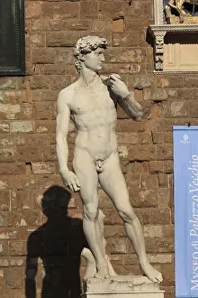 Palazzo Vecchio Florence Italy Drucke: A replica of David, Michelangelo