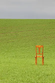 Farmland Scenery Drucke: The restless chair on the corn field