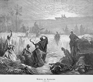 Ark Of The Covenant Drucke: Return of the Ark of the Covenant