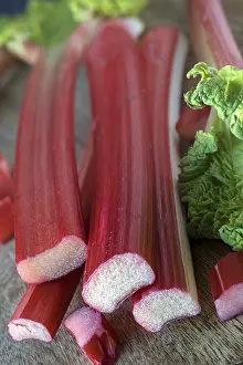 Deserted Kitchen Drucke: Rhubarb