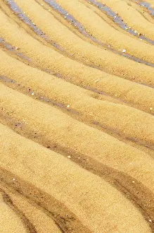 Deserted Beach Landscape Drucke: Ribbed structure in sand, on the beach