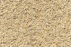 Full Frame Food Images Drucke: Rice