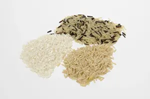 Cutout Food Images Drucke: Rice