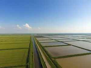 Flooded Rice Fields Drucke: The rice fields are flooded with water