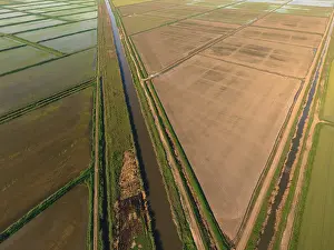 Top Down View Of Farmland Drucke: The rice fields are flooded with water