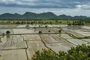 Rice Farming In Southeast Asia Drucke: Rice fields from the temple complex
