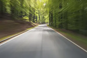 Horse Riding In Bavaria Drucke: Ride on road through spring forest