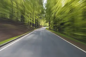 Horse Riding In Bavaria Drucke: Ride on road through spring forest