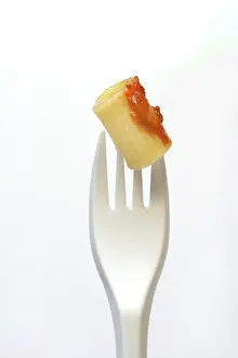 Rigatoni Pasta Drucke: Rigatoni, pasta on plastic fork