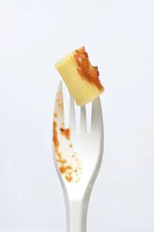 Rigatoni Pasta Drucke: Rigatoni, pasta on plastic fork