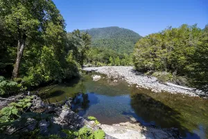 Bilder Datiert 13. Februar 2024: Rio chaicas stream print temperate rainforest landscape