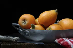 Stone Fruit Nutrition Drucke: Ripe medlars in shell, Germany