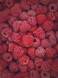 Freshly Picked Raspberries Drucke: Ripe red raspberry texture background
