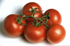 Vegetable Sorts Drucke: Ripe tomatoes