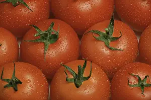 Deserted Garden Produce Drucke: Ripe tomatoes