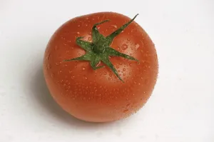 Vegetable Sorts Drucke: Ripe tomatoes