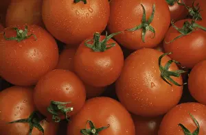 Veggie Still Life Drucke: Ripe tomatoes