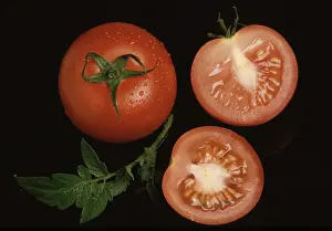 Deserted Garden Produce Drucke: Ripe tomatoes