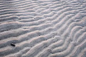 Northern German Nature Reserve Drucke: Ripple pattern in mudflats, Westerhever