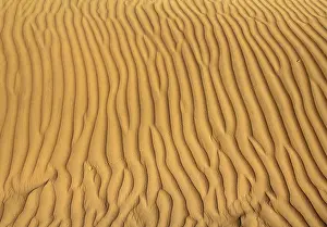 Uninhabited Desert Scene Drucke: Ripple sand in desert, background