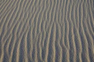 Sylt Island Drucke: Ripples in sand, sand structure